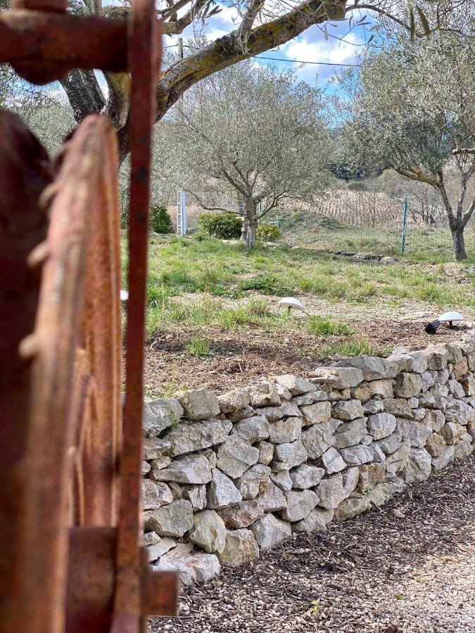 Gite Romarin Avec Spa Saint-Jean-de-Barrou Dış mekan fotoğraf